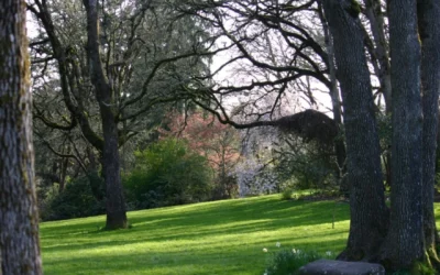 Eugene Parks Foundation: Making exceptional city parks